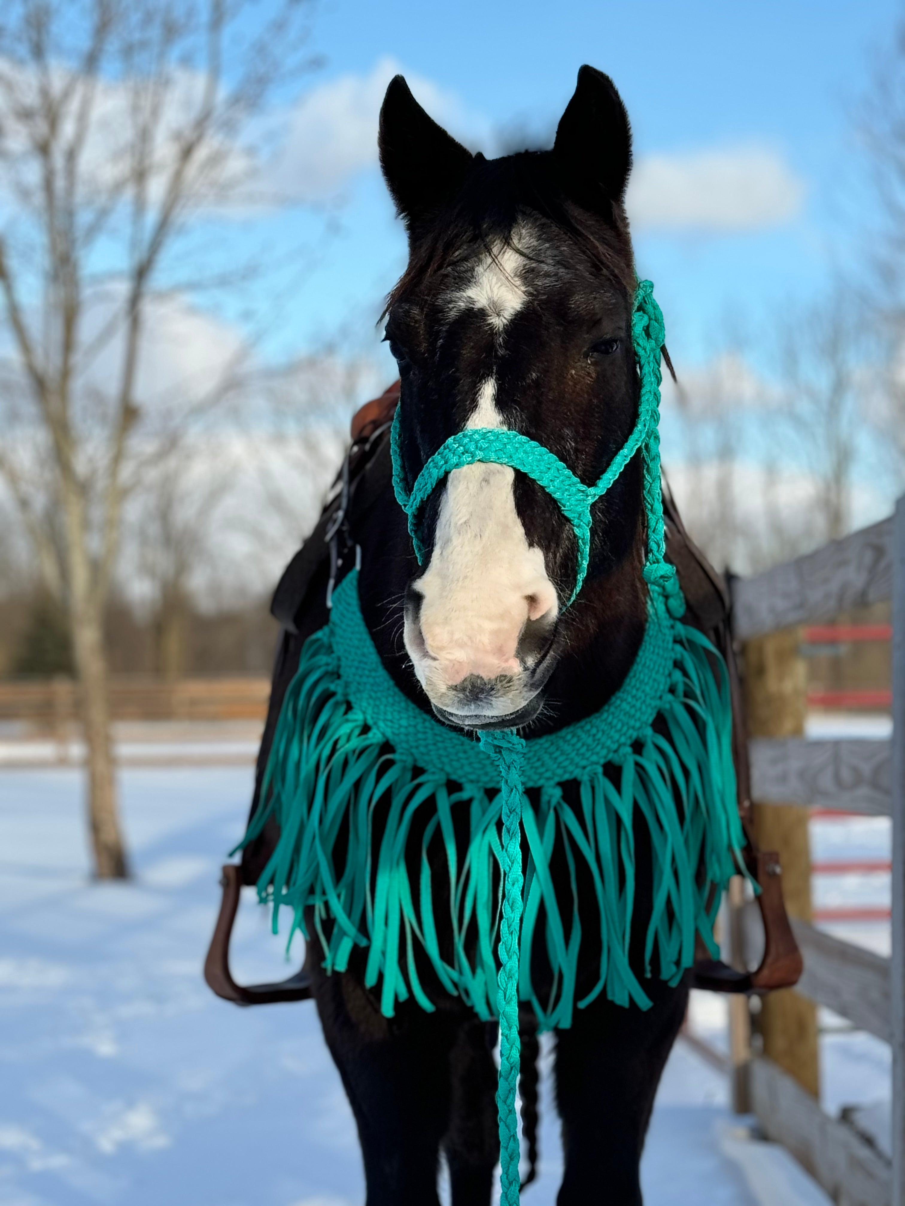 Turquoise Fringe Tripping Collars