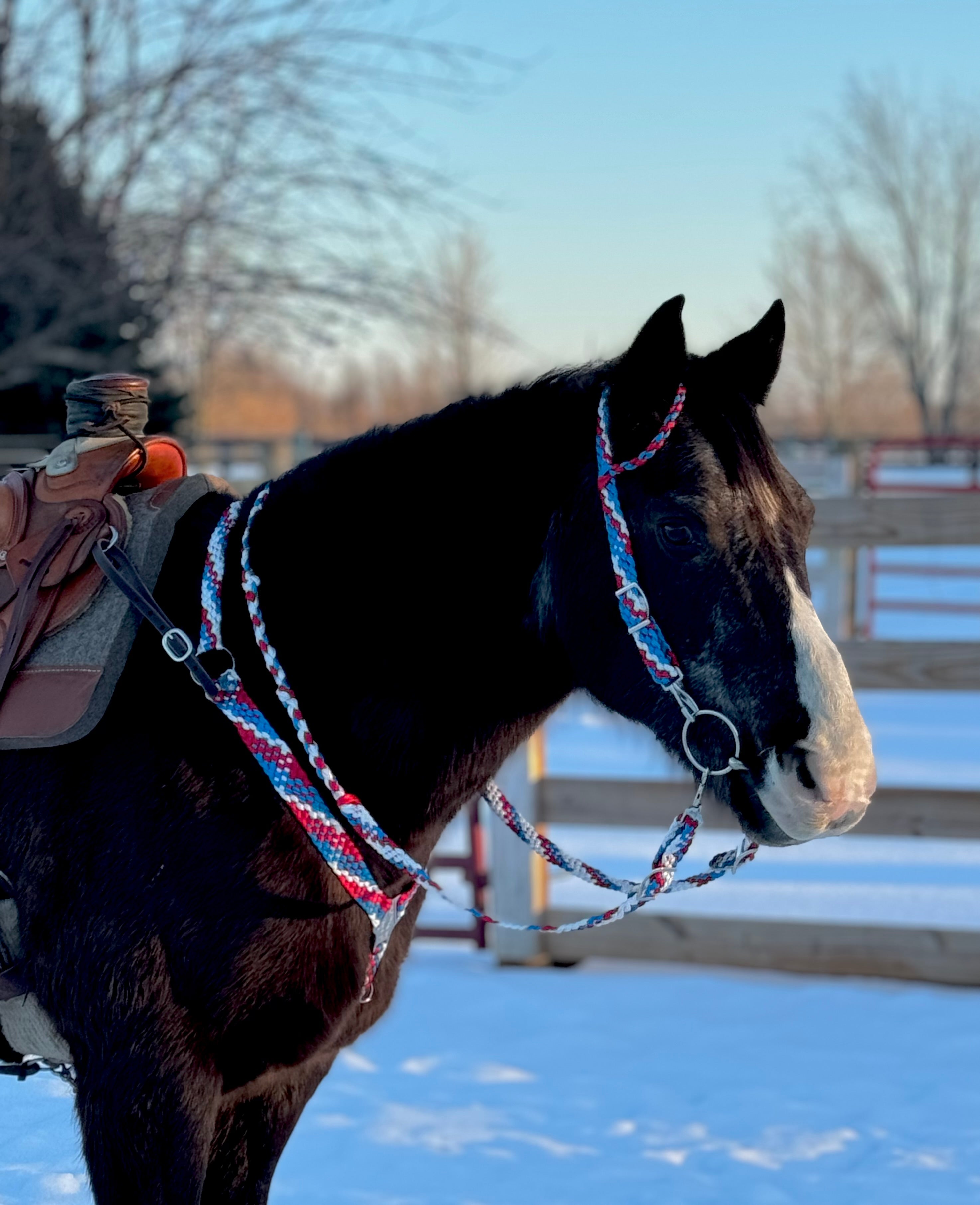 “ ‘Merica” Tack Set (No Fringe)