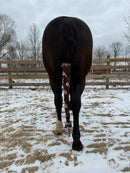 Brown Animal Print Braided Tail Wrap