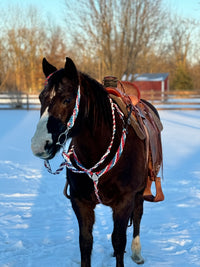 “ ‘Merica” Tack Set (No Fringe)