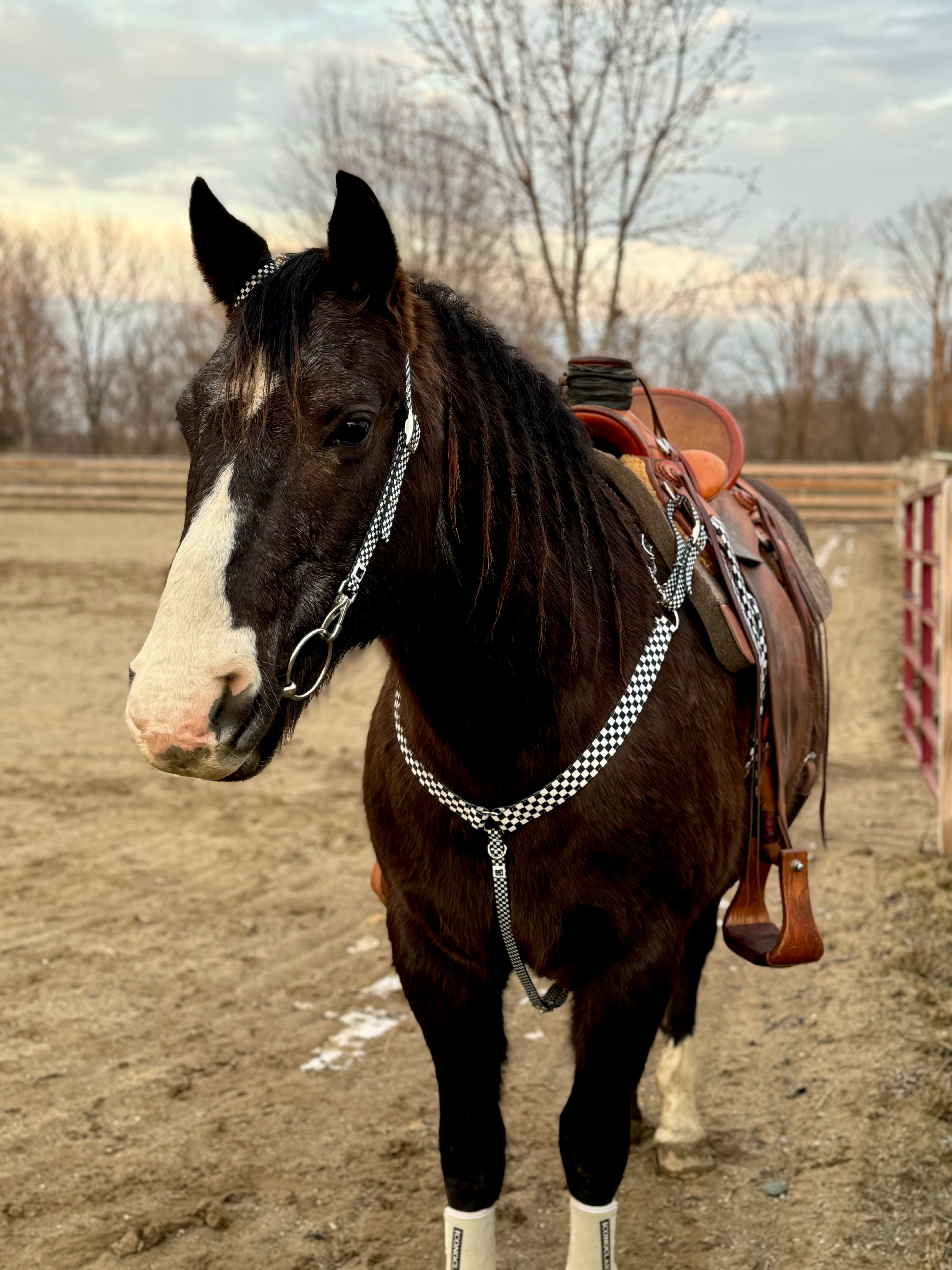 Checkered One Ear Headstalls