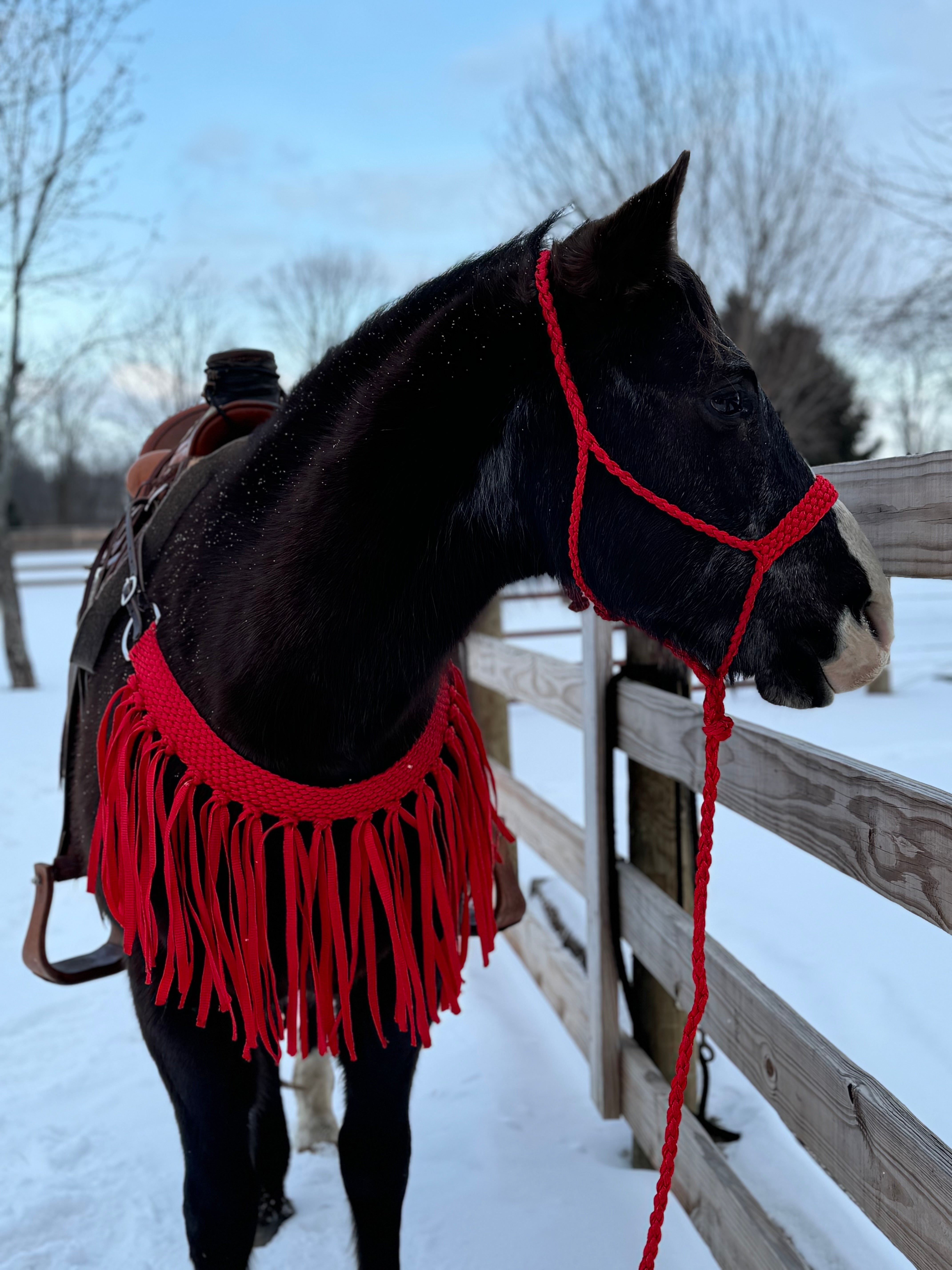 Red Fringe Tripping Collars