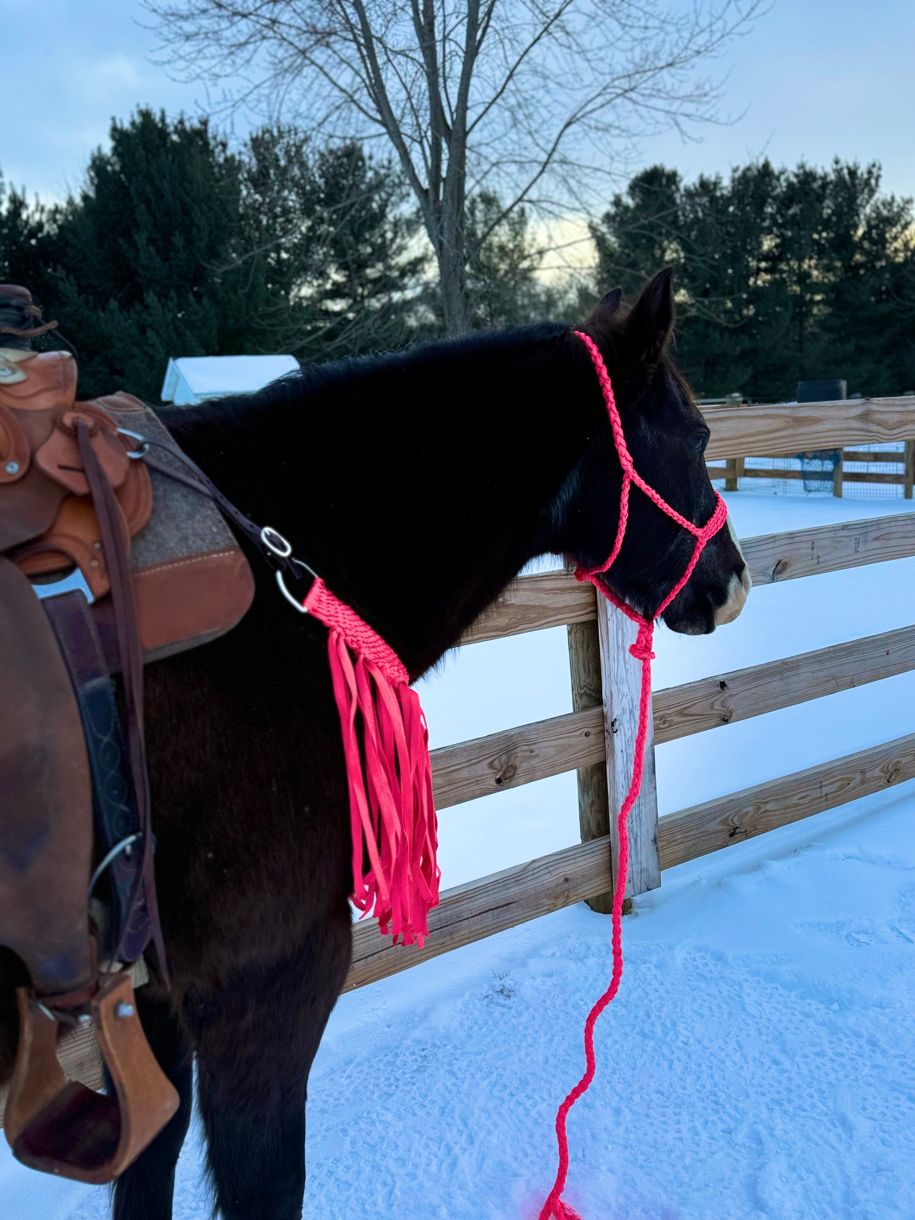 Hot Pink Fringe Tripping Collars