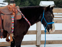 Summer Serape 1” Wide Breast Collars