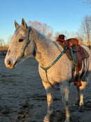 Turquoise Cheetah One Ear Headstalls