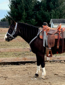 Checkered Tack Sets