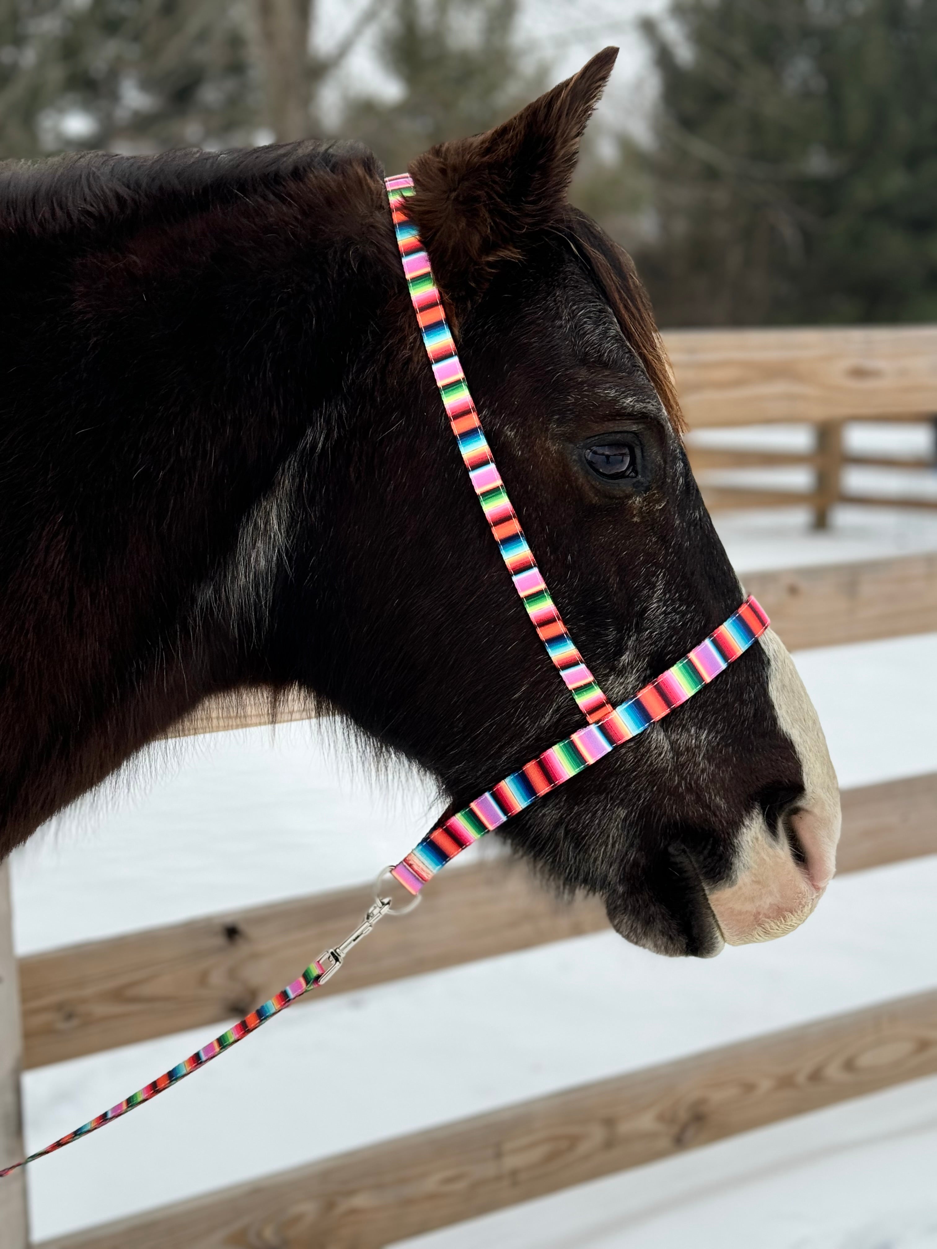 Summer Serape Tie Down Sets