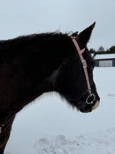 Gambler One Ear Headstalls