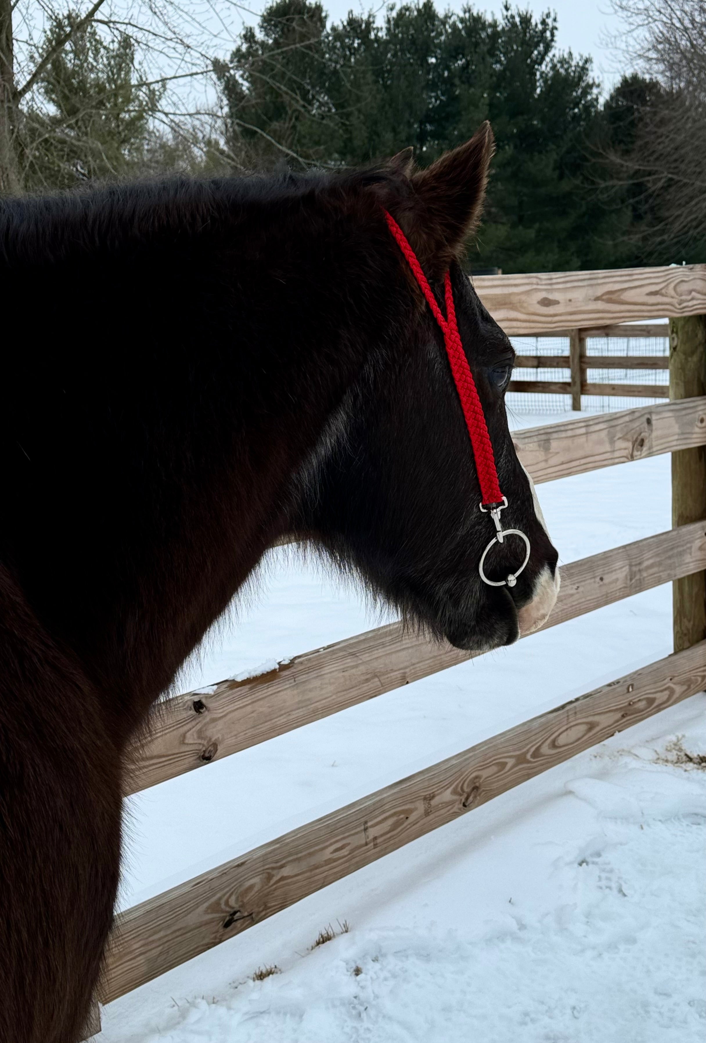 Split Ear Quick Change Headstalls