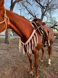 Breast Collar & Wither Strap with fringe