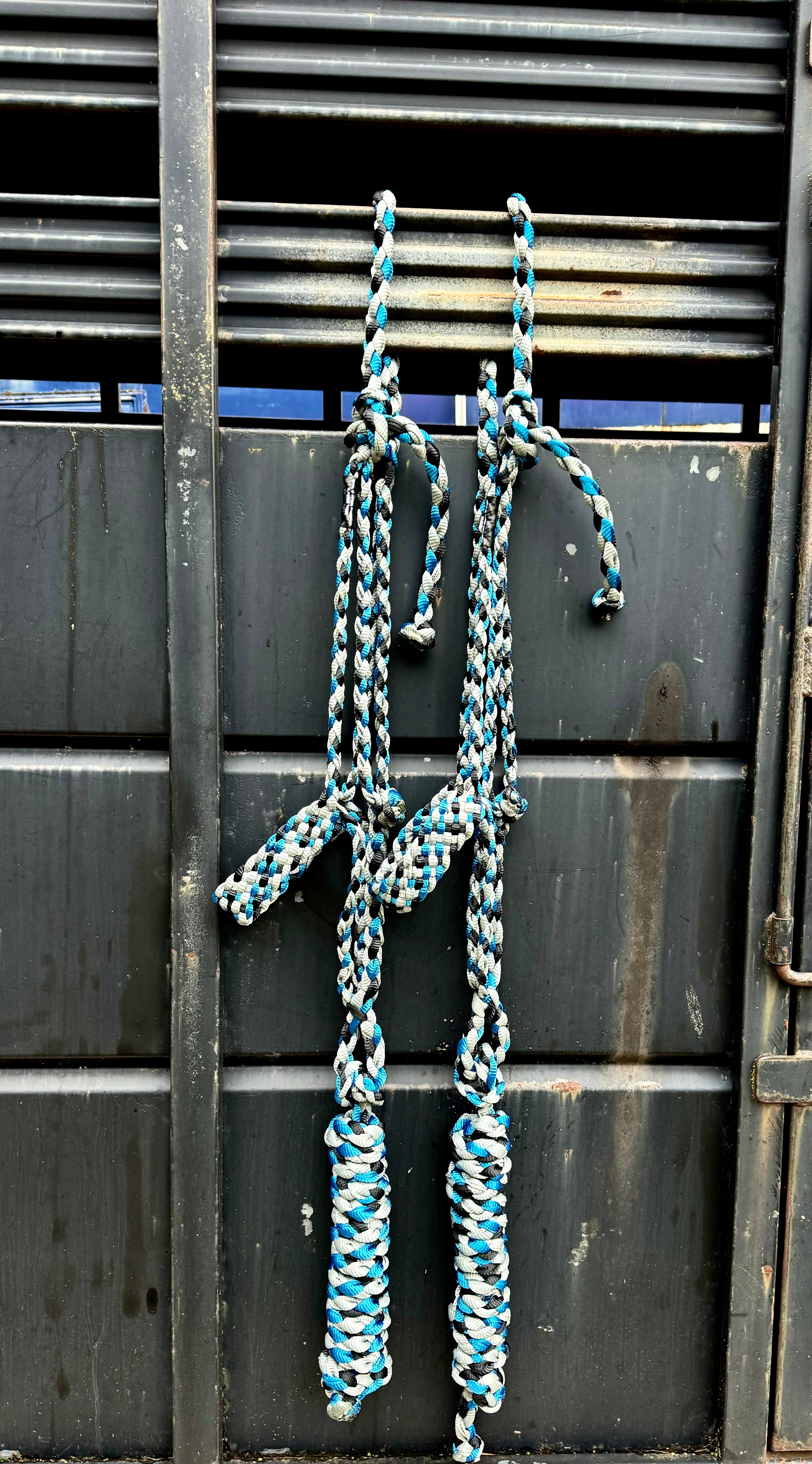 Draft Size Mule Tape Halters