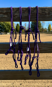 Four-Knotted Rope Halters