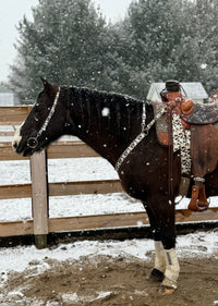 Brown Cow Print Breast Collars with a Wither Strap