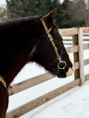 Sunflowers One Ear Headstalls