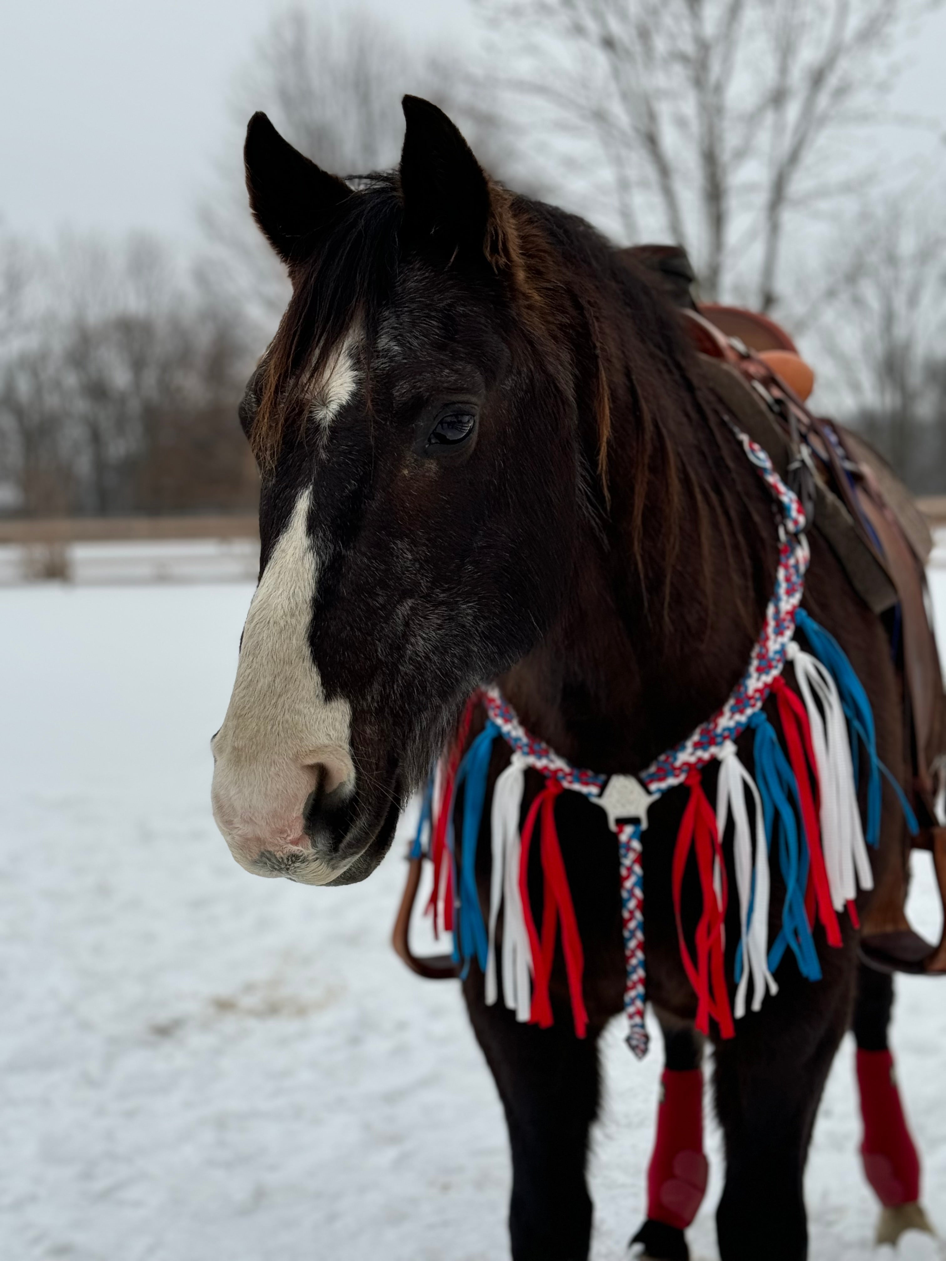 “ ‘Merica” Fringe Breast Collar & Wither Strap