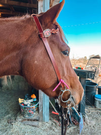 Pink Thunderbird Braided One Ear Headstall