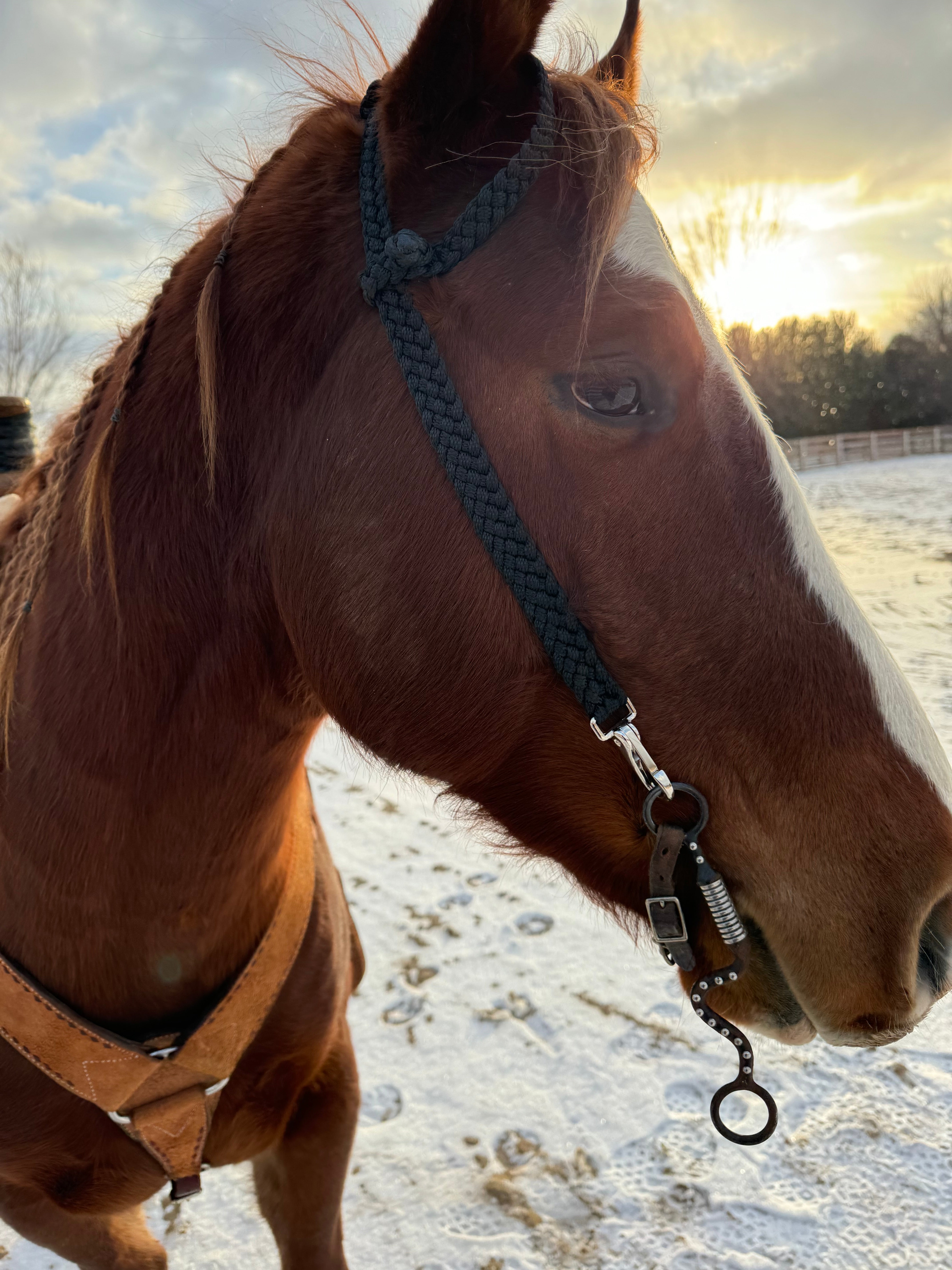 One Ear Quick Change Headstalls