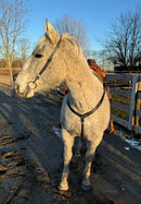 Black Cheetah One Ear Headstalls