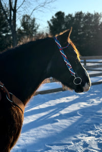 “ ‘Merica” One Ear Quick Change Headstalls