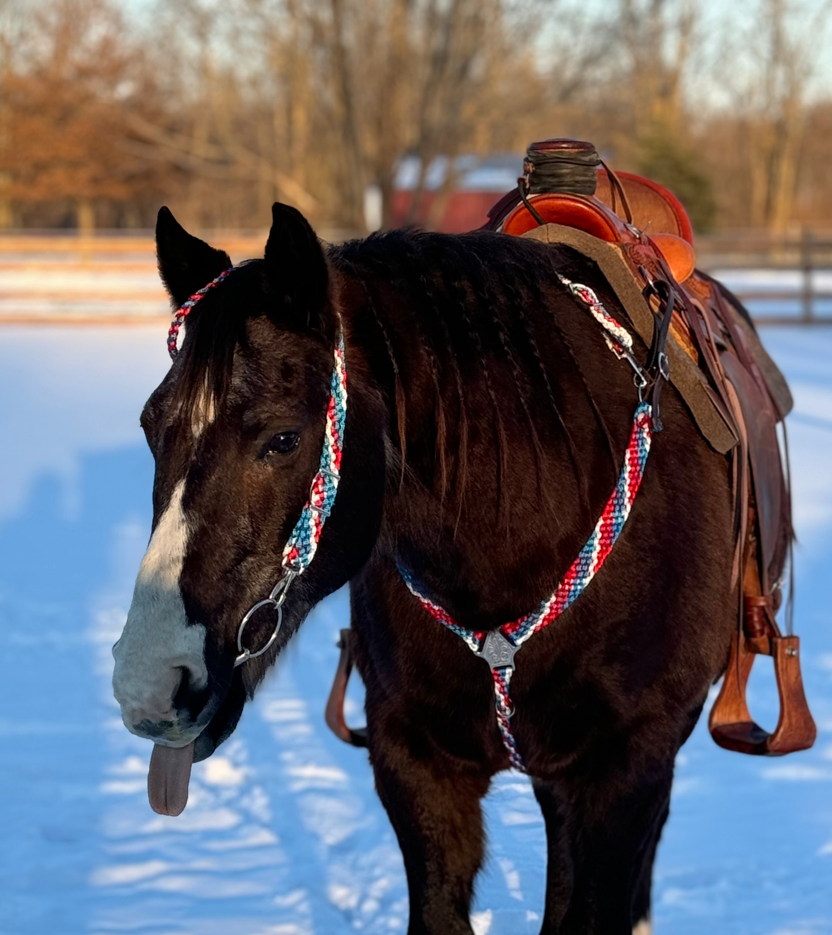 “ ‘Merica” Breast Collar & Wither Strap (No Fringe)