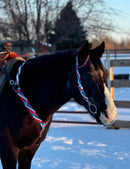 “ ‘Merica” Breast Collar & Wither Strap (No Fringe)