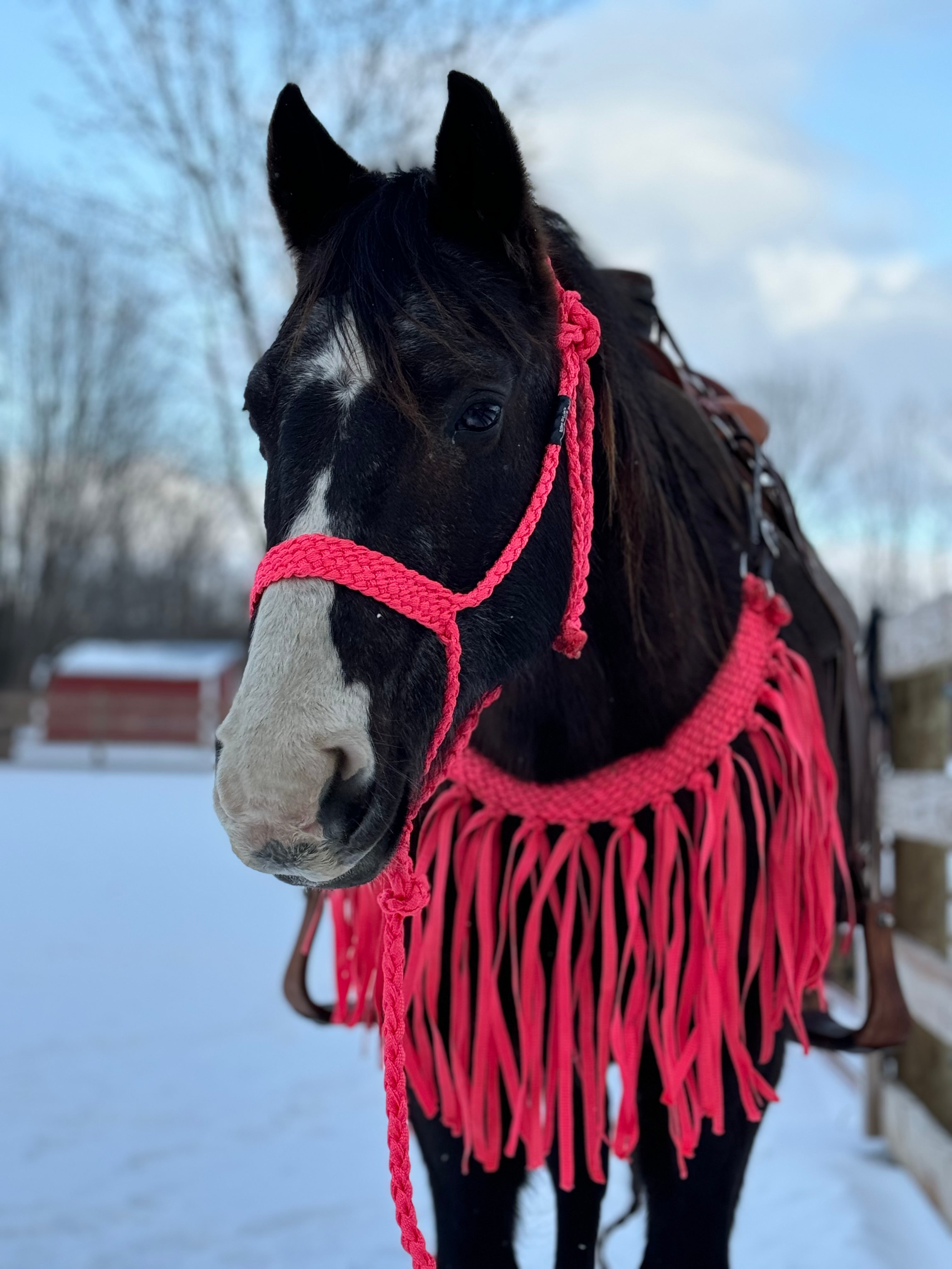 Hot Pink Fringe Tripping Collars