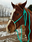 Double Lariat Mule Tape Halters