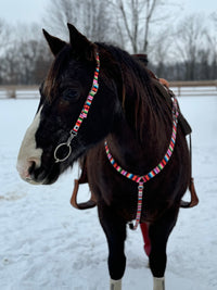 Summer Serape One Ear Headstalls