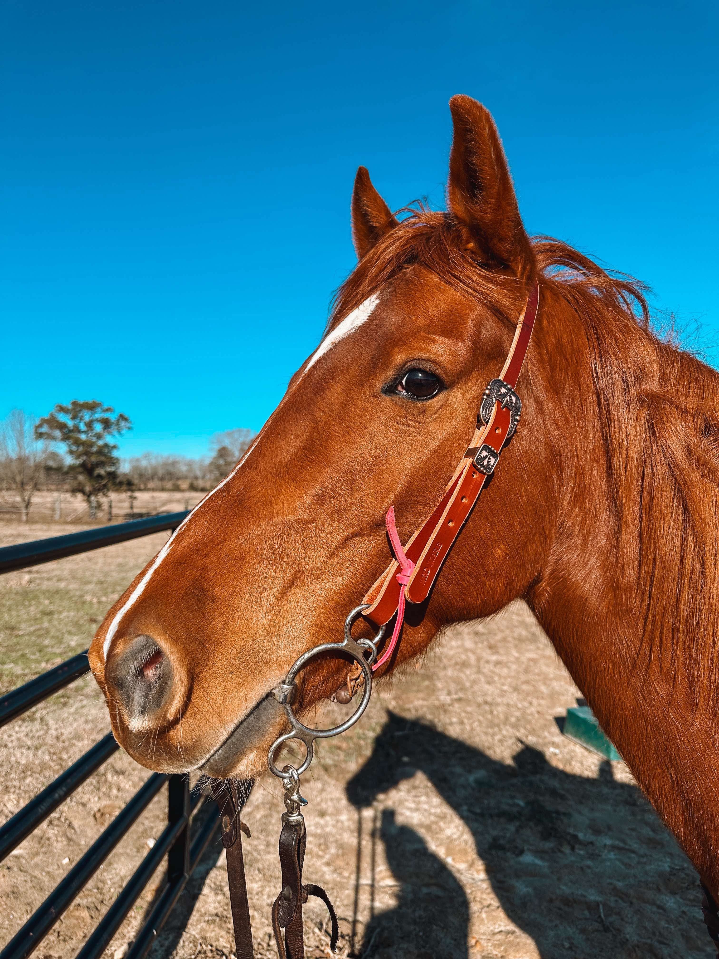 Pink Thunderbird Braided One Ear Headstall