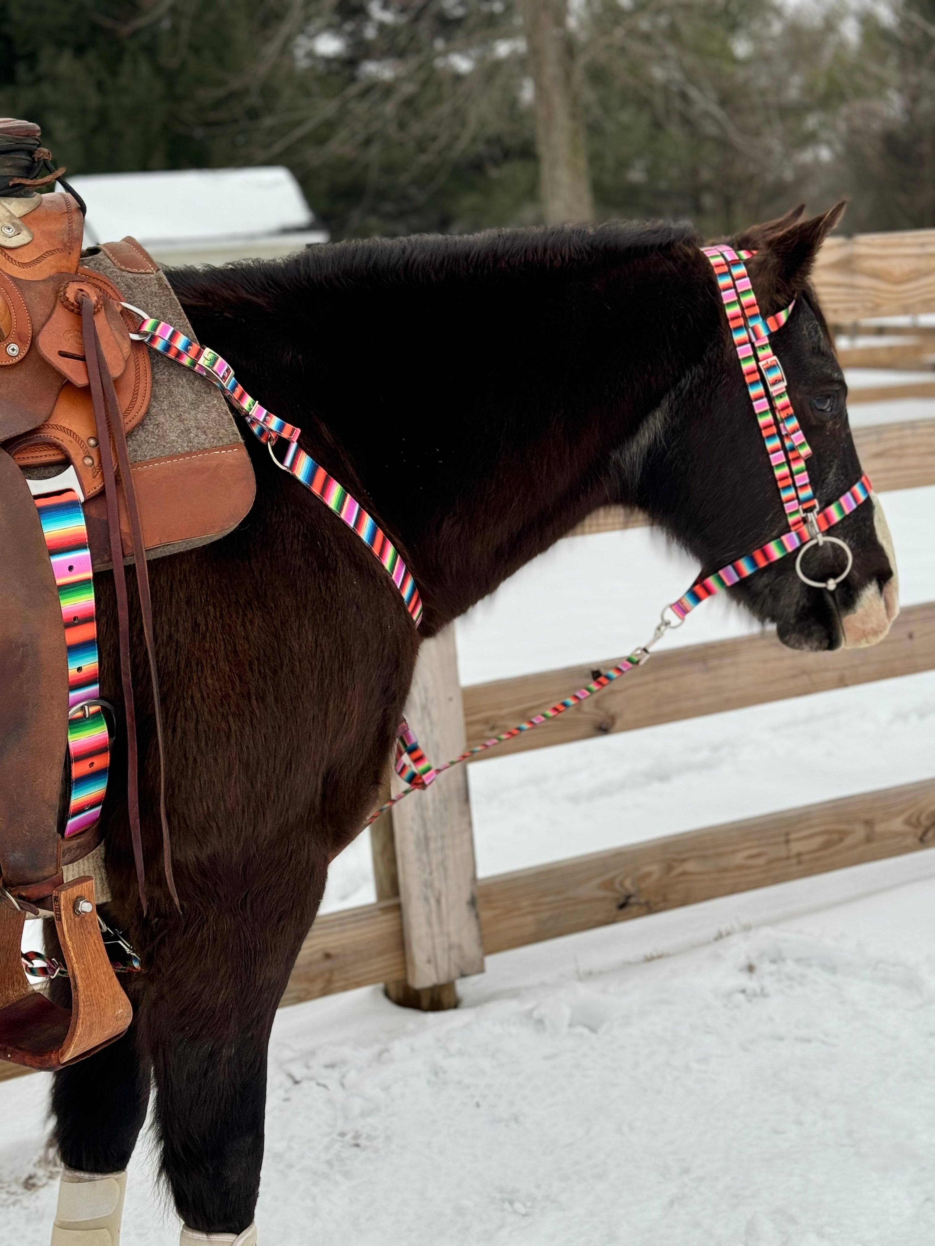 Summer Serape Tack Sets