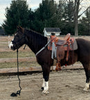 Checkered 1” Wide Breast Collars