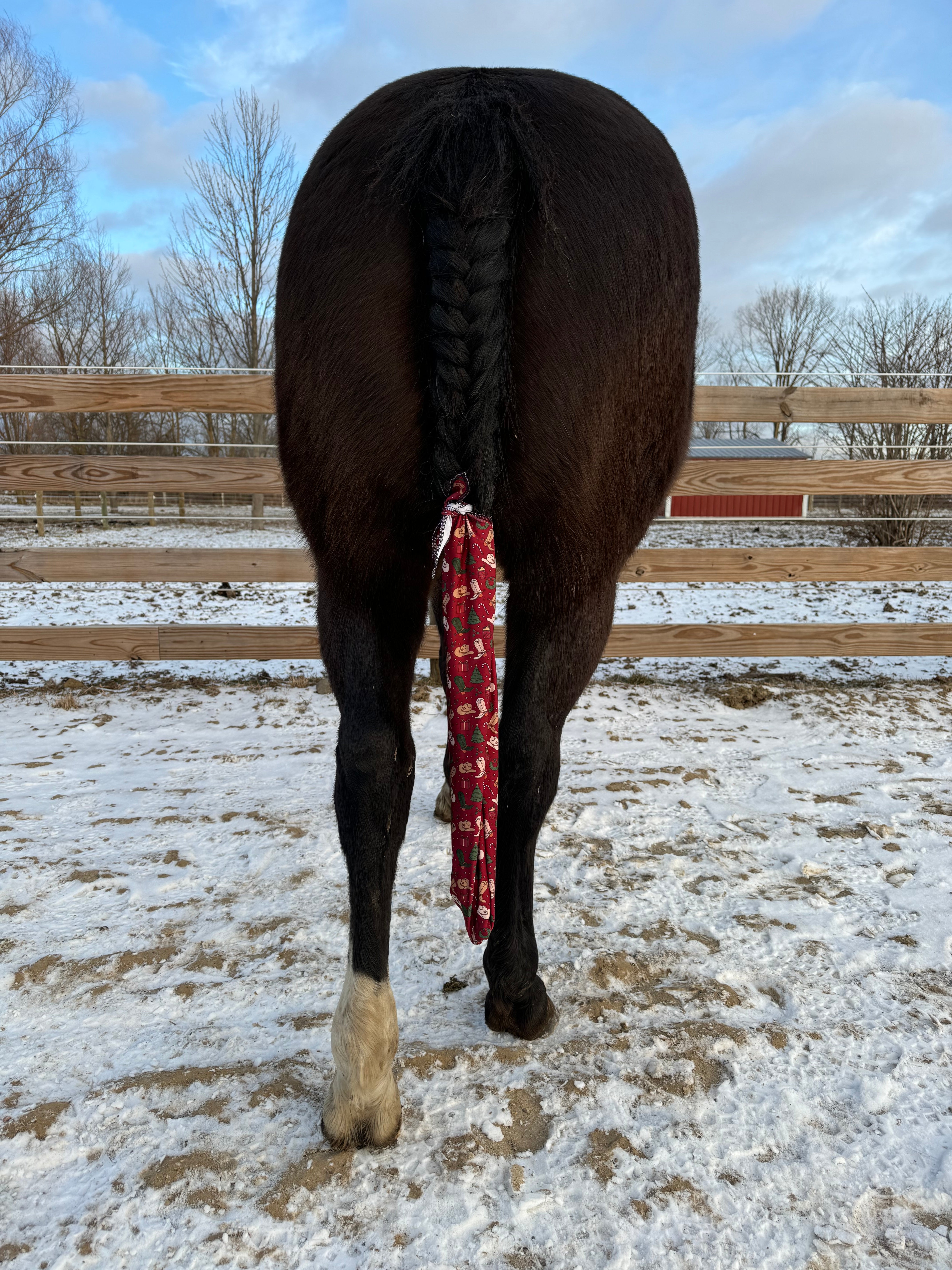 Christmas Tail Bag