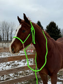 Lariat Mule Tape Halters (Standard Horse Size)