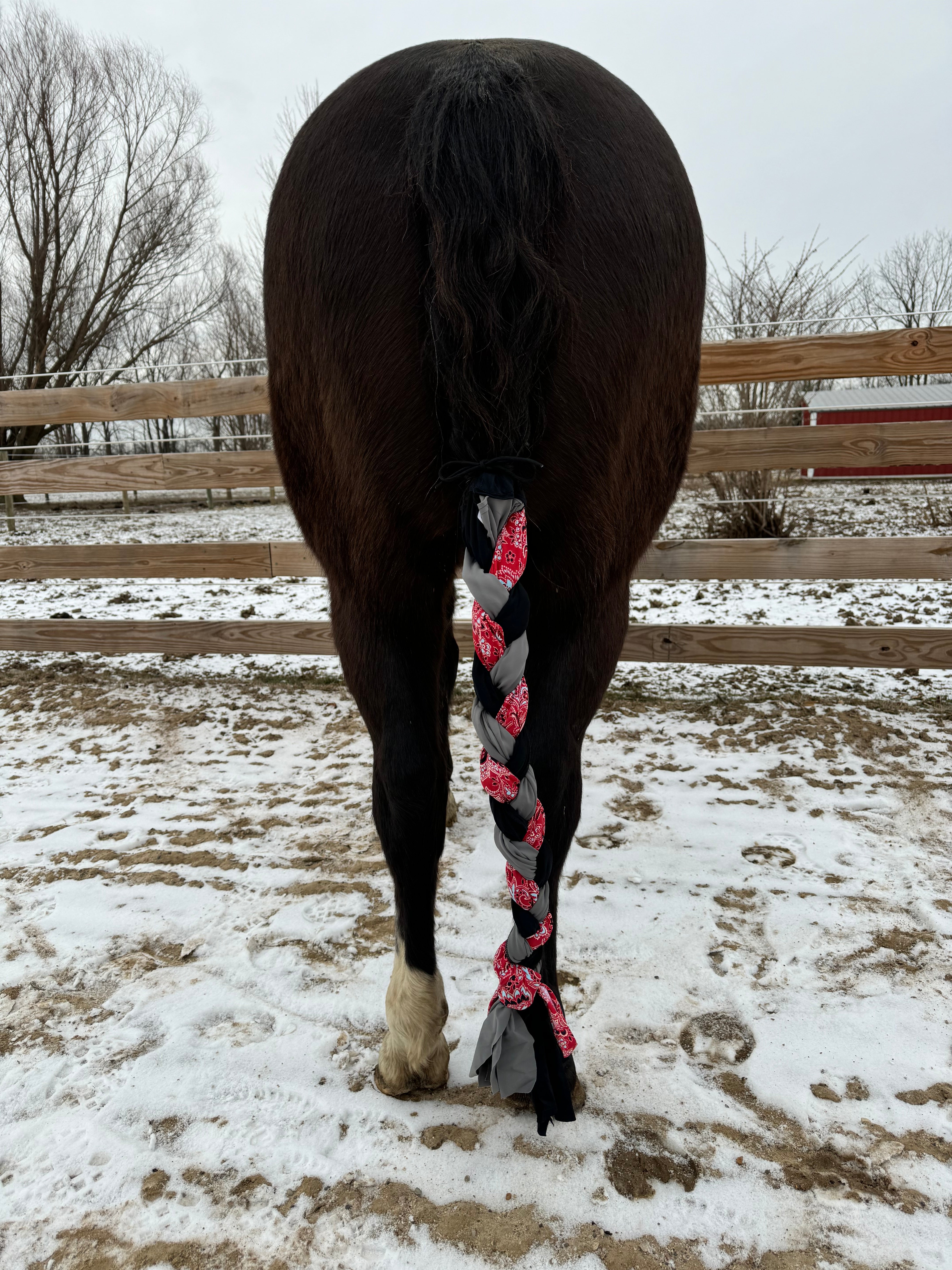 Paisley Braided Tail Wrap