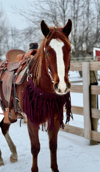 Maroon Fringe Tripping Collars