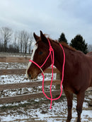 Neon on White Lariat Halters