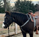 Checkered Breast Collars with a Wither Strap