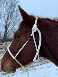 Lariat Mule Tape Halters (Standard Horse Size)