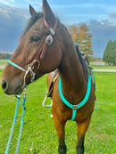 Breast Collar & Wither Strap (No Fringe)