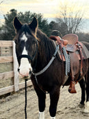 Checkered 1” Wide Breast Collars