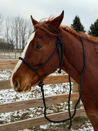 Lariat Mule Tape Halters (Standard Horse Size)