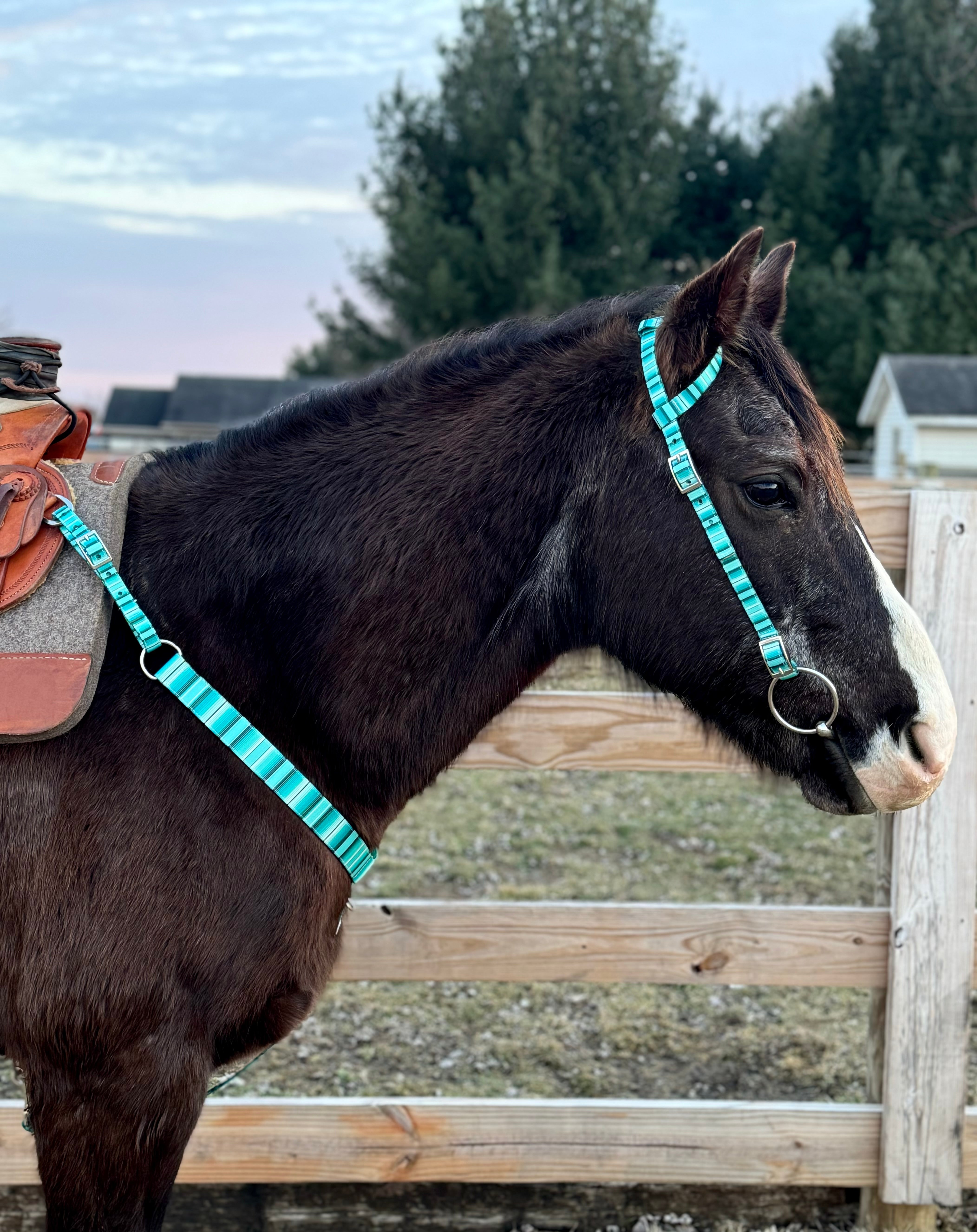 Blue Serape One Ear Headstalls