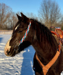 “ ‘Merica” One Ear Quick Change Headstalls