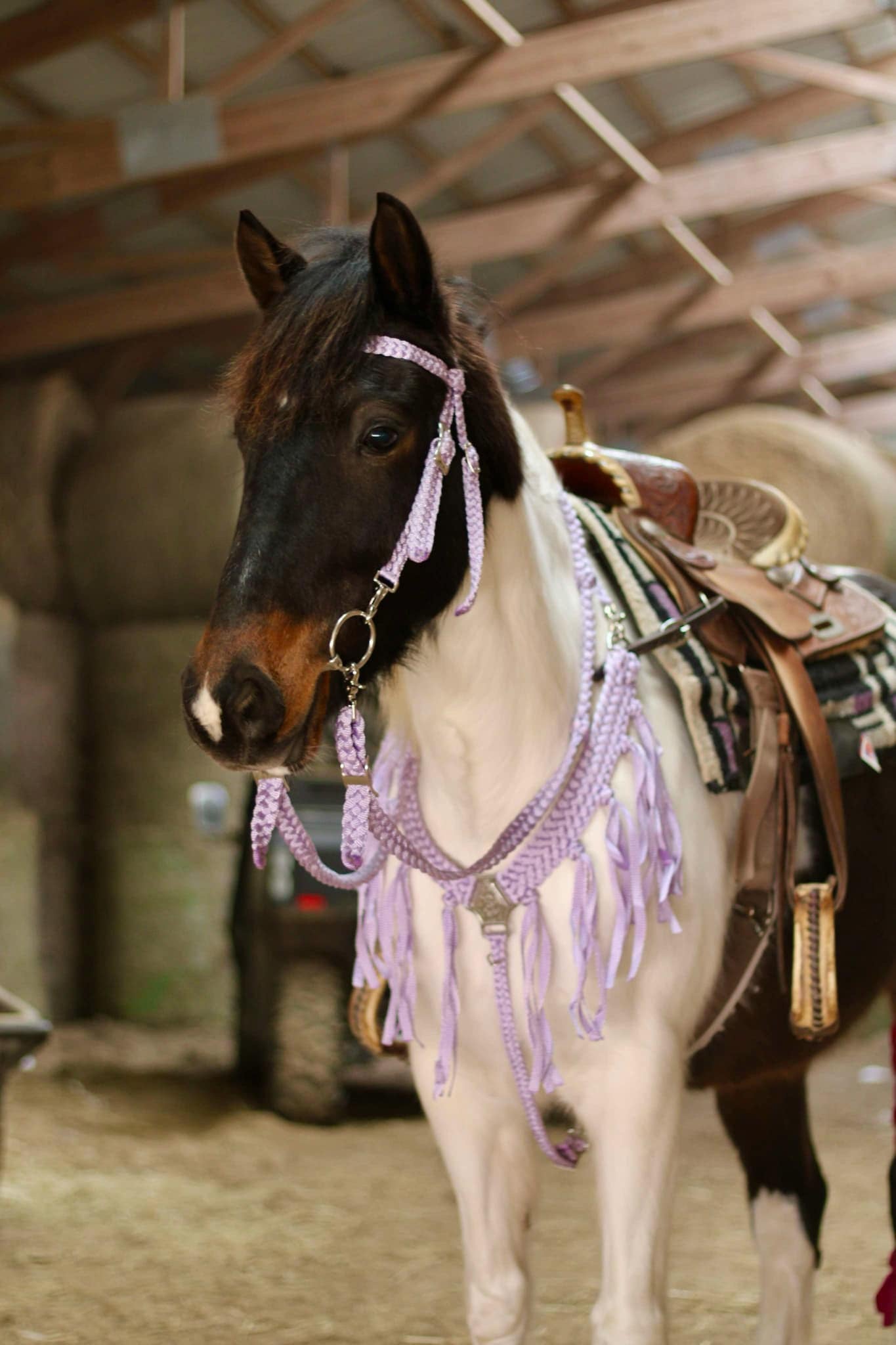 Tack Sets with Fringe