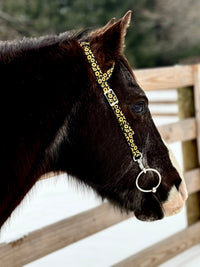 Sunflowers One Ear Headstalls