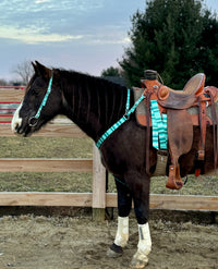 Blue Serape Tack Sets