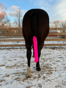 Hot Pink Tail Bag