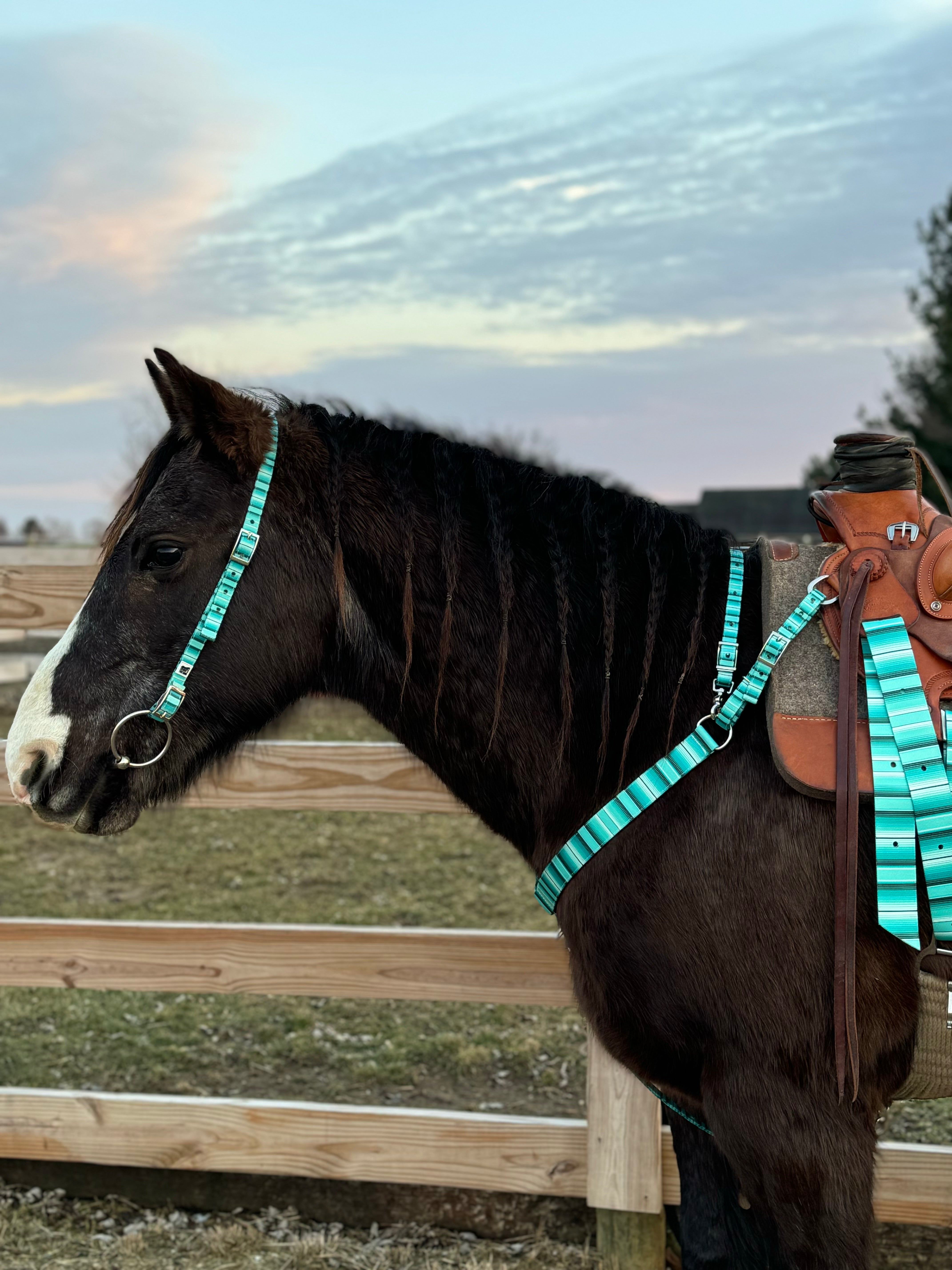 Blue Serape Breast Collars with a Wither Strap