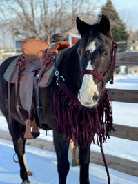 Maroon Fringe Tripping Collars