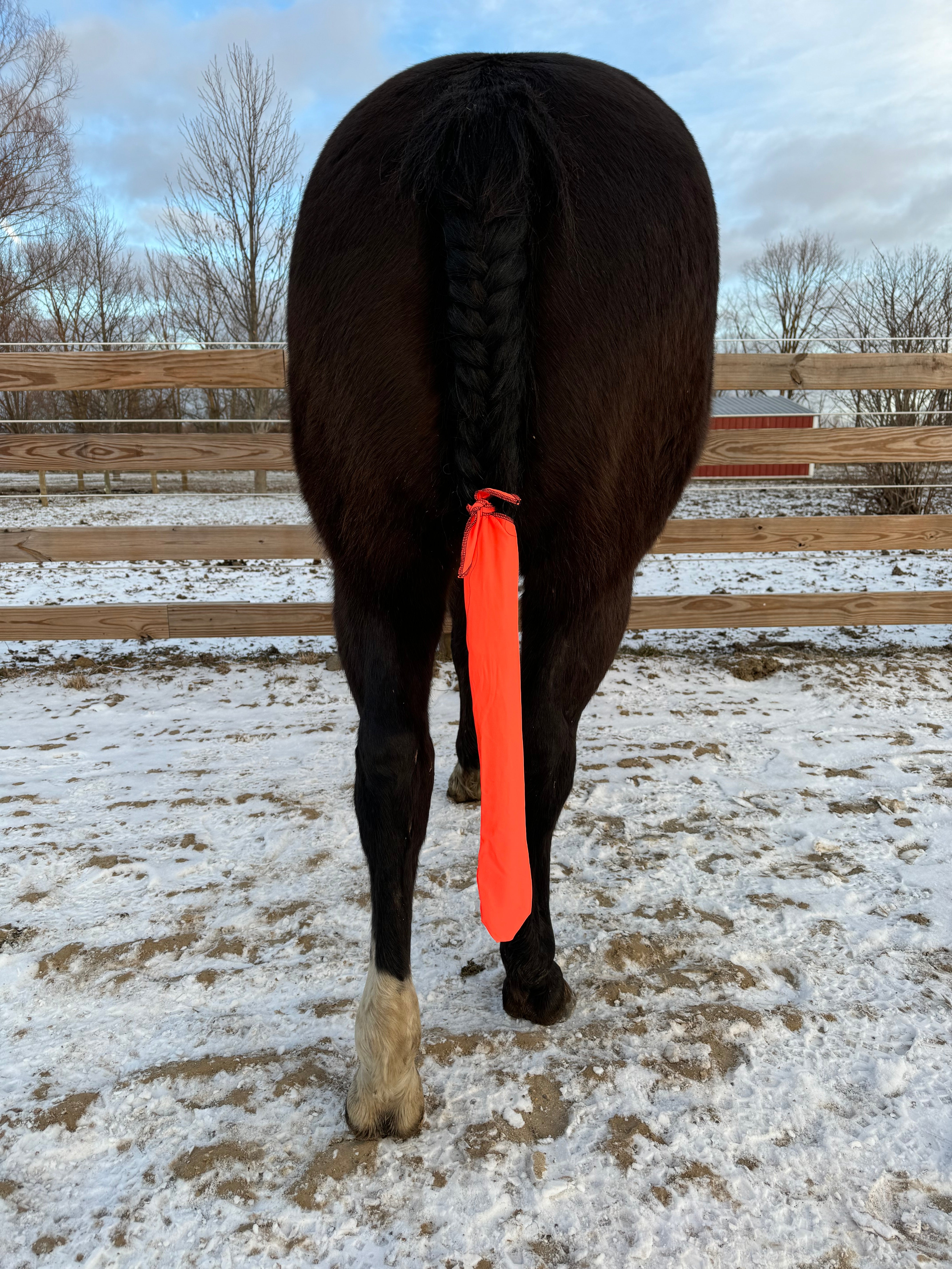 Neon Tail Bags (all colors)